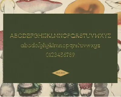 Ashland font