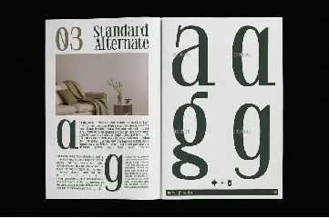 Dogmade - Vintage Didone Font