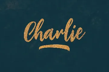 Charlie Script Font