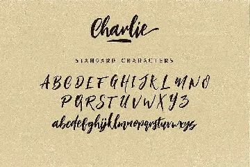 Charlie Script Font