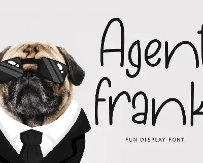 Agent Frank Fun Display Font