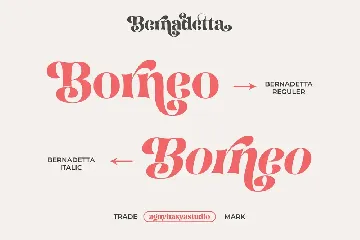 Bernadetta - A Modern Classic Serif font