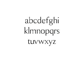 Cheston Slab Serif Font Family Set