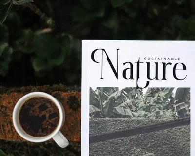Habemfi Stulish Modern Serif Font