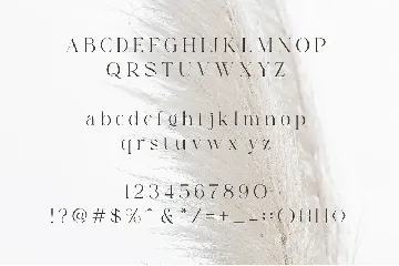 Maligad Elegant Serif Font