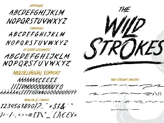 The Wild Strokes font