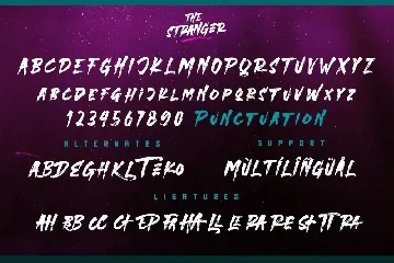 Stranger Font Duo + Extras