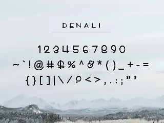 Denali font