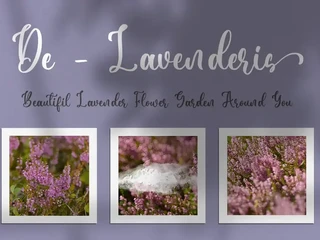 Daniella - Wedding Font