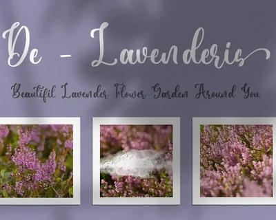 Daniella - Wedding Font