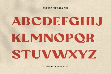 Gudina Serif font