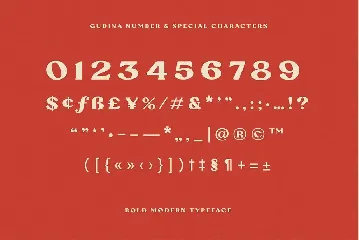 Gudina Serif font