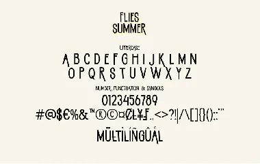 FLIES SUMMER font