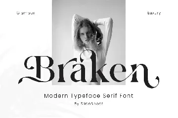 Hiroka Modern Serif Font