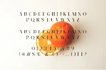 Hiroka Modern Serif Font