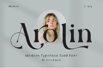 Hiroka Modern Serif Font