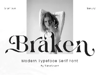 Hiroka Modern Serif Font