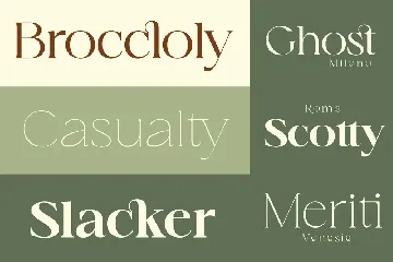 Legquinne |8 Font+Variable Family Serif Aesthetic