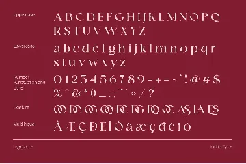 Legquinne |8 Font+Variable Family Serif Aesthetic