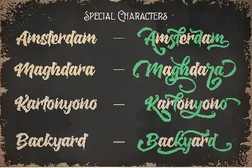 The Backyard Script - Unique Retro Font