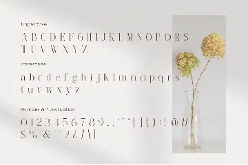 Saignh Serif Font