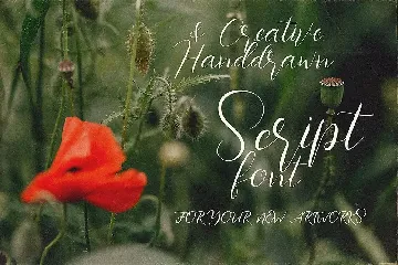 Southlove Script Font