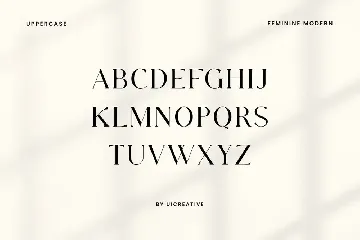 Velomia Vanora Modern Serif Font