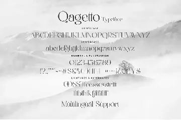 Qagetto - A Stylish Serif font