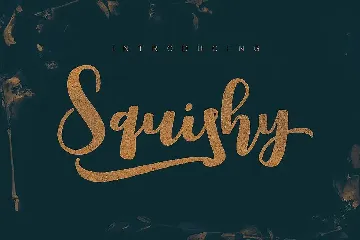 Squishy Script Font