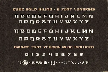 5 Fonts Bundle 3