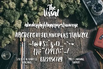 The Vissal script brush logo font