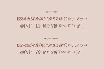 Vintage Sans Serif Font