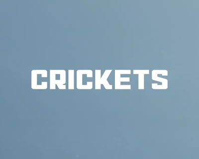 Qruckia - Sport Font