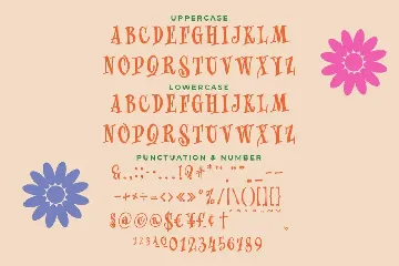 The Wickyfest - A Playful Serif Font