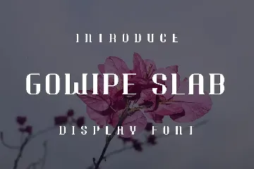 Gowipe Slab Font