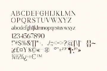 Cangste Classy Serif Font