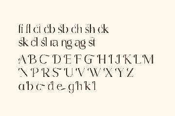 Cangste Classy Serif Font