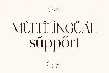 Cangste Classy Serif Font