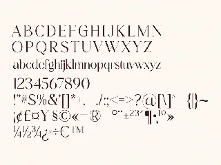 Cangste Classy Serif Font