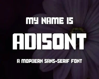 Adisont font