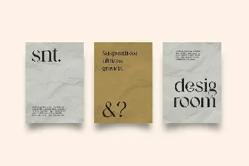 Dermagent Serif Display Font