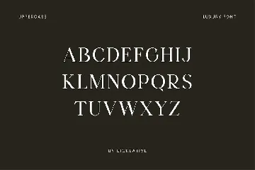 Dermagent Serif Display Font