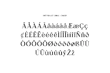 Dermagent Serif Display Font