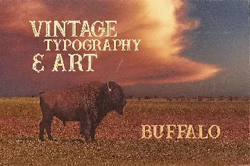 Buffalo Typeface font