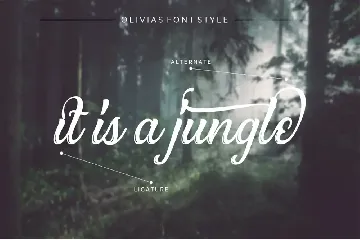 Olivias Typeface font