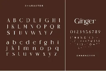 Ginger Elegant Ligature Serif Typeface font