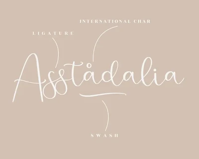 Jelystta Modern Script Font