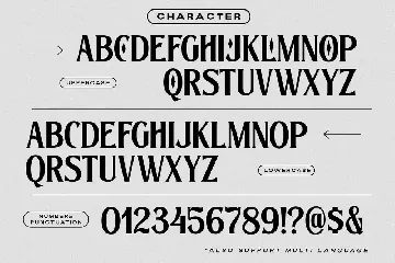 The Bradlens font