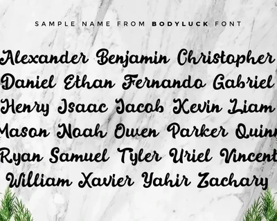 Bodyluck - Bold Script Font