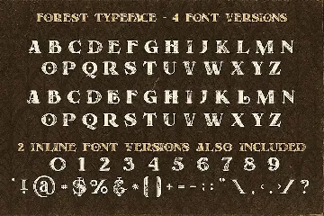 Forest - Display Font